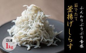 茹でたて釜揚げしらす　1kg箱入り【冷凍】無添加・無着色 【mar112】