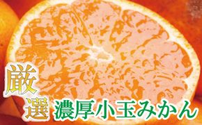 厳選　小玉な有田みかん5kg+150g（傷み補償分）【光センサー選果】＜11月上旬より順次発送予定＞【ikd117B】