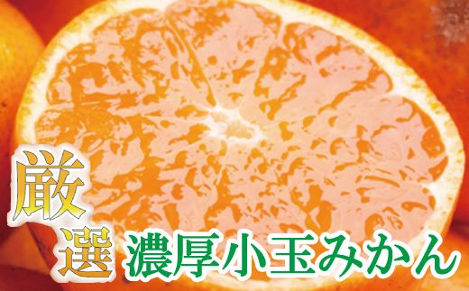 厳選　小玉な有田みかん5kg+150g（傷み補償分）【光センサー選果】＜11月上旬より順次発送予定＞【ikd117B】