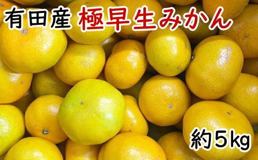 有田産極早生みかん約5kg（サイズ混合）　※2025年10月中旬～2025年11月上旬頃発送予定（お届け日指定不可）【tec929A】