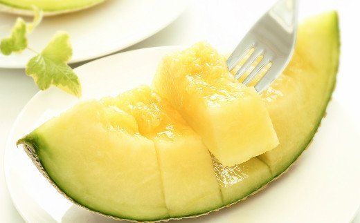 【発送開始】マスクメロン家庭用 1玉入り フルーツ メロン 果物 デザート 一果相伝 tn-0024