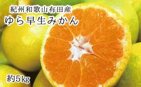 紀州和歌山有田産ゆら早生みかん 5㎏　※2025年10月上旬頃～2025年10月末頃に順次発送（お届け日指定不可）【uot721】