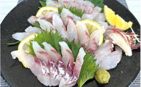 ＼数量限定／ クロムツの煮付用＋刺身用セット 【冷蔵便】 くろむつ 黒睦 ムツ 煮つけ 煮付 煮付け 刺身 お刺身 国産 太地町【tgk110】