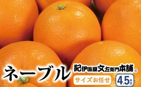 ネーブル 約4.5kg/サイズおまかせ　※2023年1月中旬～2月上旬頃に順次発送予定(お届け日指定不可)　紀伊国屋文左衛門本舗【ntbt431】