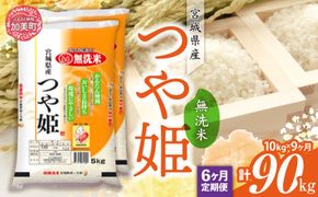 【定期便9回】令和6年産 宮城県産 つや姫 無洗米 10kg(5kg×2）×9回 [カメイ 宮城県 加美町 ] お米 こめ コメ 精米 白米 | km00014-r6-10kg-9