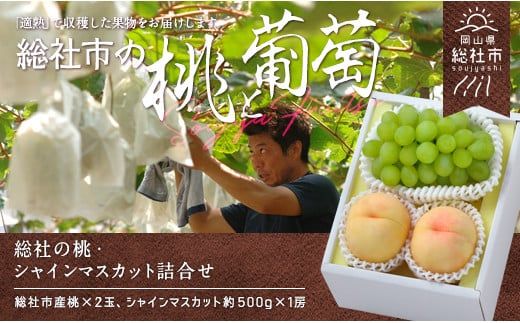 総社の白桃・シャインマスカット詰合せ岡山県総社市産【2025年産先行予約】25-028-001