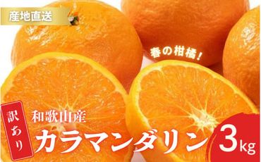 【先行予約】訳あり 有田 カラマンダリン なつみ 春のみかん 2S～3Lサイズ混合 3kg【2025年4月上旬～5月上旬までに順次発送予定】/ みかん フルーツ 果物 くだもの【ktn038】