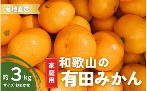 【1月発送】家庭用 有田みかん 和歌山 訳あり わけあり S～Lサイズ 大きさお任せ 3kg / みかん フルーツ 果物 くだもの 有田みかん 蜜柑 柑橘【ktn006B-1】