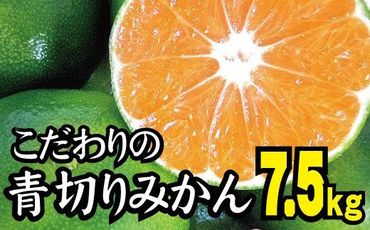 紀州かつらぎ山の食べやすい干し柿 化粧箱入 25g×10個【uot737