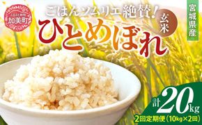 【2回定期便】 玄米 令和6年産 宮城県加美町産ひとめぼれ 計20kg (10kg×2回) [菅原商店 宮城県 加美町 ]  | sg00002-r601-10kg-2