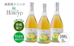 希釈用梅ドリンク 梅ハニップ 3本 / 飲料 ジュース 梅 ドリンク【prm005A】