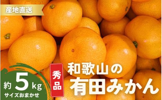 【12月発送】秀品 有田みかん 和歌山県産 S～Lサイズ 大きさお任せ 5kg / みかん フルーツ 果物 くだもの 有田みかん 蜜柑 柑橘【ktn002-12】