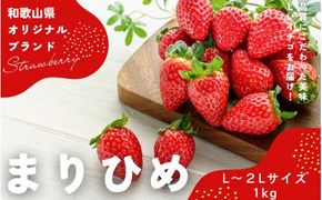 【先行予約】まりひめ いちご 12粒～15粒入り×4パック（1kg）2025年1月初旬～2025年3月末頃に順次発送予定（お届け日指定不可）/ いちご 苺 まりひめ 和歌山 フルーツ 【kgr008】