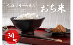 令和8年産　新米　仁淀ブルーの恵み「おち米」 30kg