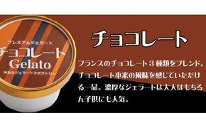 プレミアムジェラート チョコレート12個セット アイスクリームセット 100mlカップ ゆあさジェラートラボラトリー【sgtb700-03】