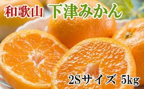 【産直・秀品】和歌山下津みかん　5kg(2Sサイズ)【tec868】