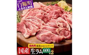 ラム肉焼肉セットA【600g×2パック】