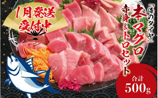 [期間限定 特別寄付額][串本町×北山村]本マグロ(養殖)トロ&赤身セット500g[1月発送分]高級 中トロ 中とろ まぐろ 鮪 赤身 柵 じゃばらまぐろ 本マグロ 本鮪[nks110B_cp-1]