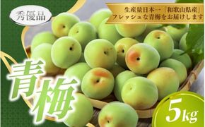 【先行予約】 青梅 5kg ※秀優品 ※サイズ混合 【6月上旬～6月下旬頃に順次発送予定】＜味好農園＞/ 梅 青梅 梅干 梅干し 梅酒 お酒 シロップ ジュース【agy508-r-5】