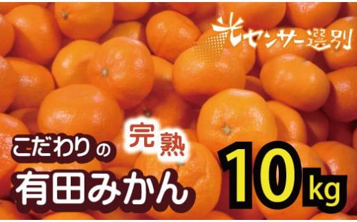 ＼発送時期が選べる!/[家庭用][農家直送]こだわりの有田みかん 約10kg+250g(傷み補償分) 有機質肥料100% サイズ混合[2024年11月・12月・2025年1月に順次発送][nuk101