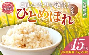 【3回定期便】 玄米 令和6年産 宮城県加美町産ひとめぼれ 計15kg (5kg×3回) [菅原商店 宮城県 加美町]  | sg00002-r601-5kg-3