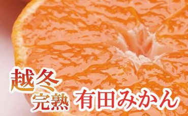 家庭用　越冬完熟みかん1kg+30g（傷み補償分）【ハウスみかん】【わけあり・訳あり】【光センサー選別】＜1月中旬より順次発送予定＞【ikd178】