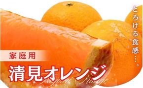 ＜2月より発送＞家庭用 清見オレンジ 2.5kg+75g（傷み保証分）【光センサー食頃出荷】【樹上完熟きよみオレンジ・清見タンゴール・清美】【わけあり・訳あり】※北海道・沖縄・離島への配送不可【ikd