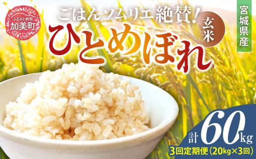 【3回定期便】 玄米 令和6年産 宮城県加美町産ひとめぼれ 計60kg (10kg×2袋)×3回 [菅原商店 宮城県 加美町 ]  | sg00002-r601-20kg-3