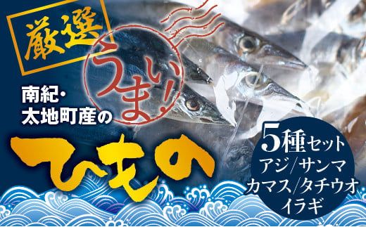 塩崎商店のイチオシ干物 5種セット 地元で愛される人気の干物 Jセット (アジ開き×2枚、サンマ開き×2枚、カマス開き×2枚、タチウオみりん干し100g、イラギみりん干し100g) [sio113A]