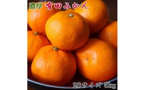 【秀品】 和歌山 有田みかん 5kg（2Sサイズ）※着日指定不可 ※北海道・沖縄・離島への配送不可 ※2025年11月中旬～2026年1月中旬頃に順次発送【tec886A】