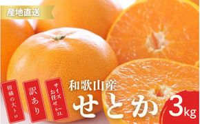 【先行予約】訳あり せとか 2S～4Lサイズ混合 3kg 【2月上旬～3月下旬頃に順次発送】 みかん ミカン 蜜柑 訳アリ 家庭用 フルーツ 果物 くだもの 柑橘 人気 甘い 数量限定 期間限定 和歌山県 北山村【ktn015B】