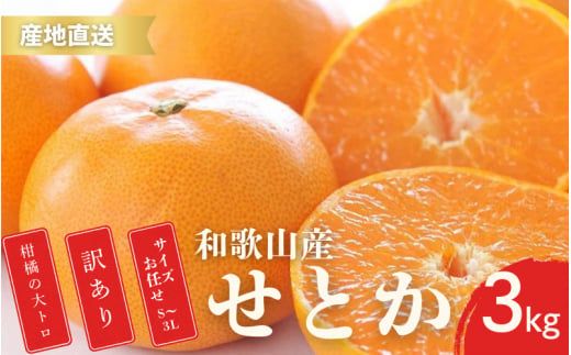 【先行予約】訳あり せとか 2S～4Lサイズ混合 3kg 【2月上旬～3月下旬頃に順次発送】 みかん ミカン 蜜柑 訳アリ 家庭用 フルーツ 果物 くだもの 柑橘 人気 甘い 数量限定 期間限定 和歌山県 北山村【ktn015B】