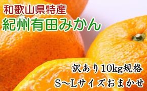 [訳あり規格・ご家庭用]和歌山有田みかん10kg（S～Lサイズおまかせ）※2024年11月中旬～1月中旬頃順次発送予定（お届け日指定不可）【tec830】