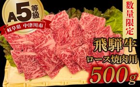 【数量限定！チルド（冷蔵）発送！】「飛騨牛」A5等級 ロース 500g 鉄板焼き 網焼き 焼肉 バーベキュー BBQ F4N-1243