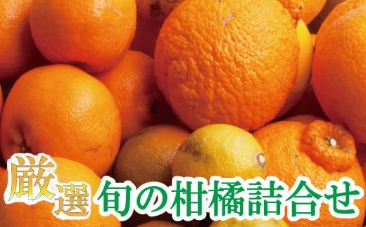 ＜1月より発送＞厳選 柑橘詰合せ3kg+90g（傷み補償分）【有田の春みかん詰め合わせ・フルーツ詰め合せ・オレンジつめあわせ】【光センサー選別】【ikd040C】