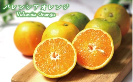 秀品　希少な国産バレンシアオレンジ　2.5kg　※2024年6月下旬頃～2024年7月上旬ごろ順次発送予定【uot752】