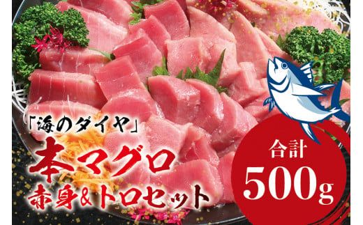 本マグロ（養殖）トロ＆赤身セット 500g / 中トロ 中とろ 大トロ 大とろ まぐろ マグロ 鮪 赤身 柵 じゃばらまぐろ【nks110】