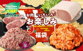 ★スピード発送!!７日～10日営業日以内に発送★ 福袋 木城町 お肉いろいろお楽しみセットC K16_0071_2