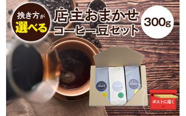 【細挽き】店主おまかせ 挽き立てコーヒー豆3種類セット(100g×3種類）【hgo003-a】
