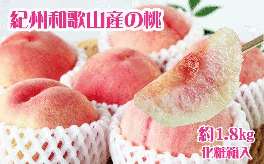 紀州和歌山産の桃　約1.8kg　化粧箱入 ※2025年6月下旬～2025年8月上旬頃順次発送（お届け日指定不可）【uot720-2】