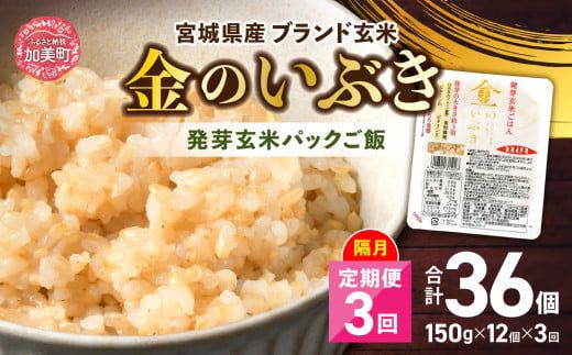 米 [ 3回 隔月 定期便 ] 宮城県産 金のいぶき 発芽玄米 パックごはん 12個×3回 総計36個 [ JA加美よつば(生活課) 宮城県 加美町 yo00005-3k] レトルト ごはん ご飯 レ