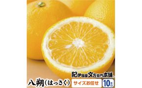 八朔(はっさく)約10kg サイズおまかせ　紀伊国屋文左衛門本舗※2023年1月下旬～4月上旬頃に発送予定【ntbt411】