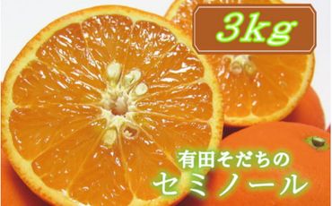 有田育ちの爽快セミノールオレンジ(ご家庭用)　約3kg【2024年4月より順次発送予定】【ard024A】