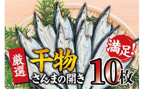 干物セット 満足の内容量！さんまの開き10枚セット ／ ひもの 詰め合わせ 干物 さんま サンマ【sio116】