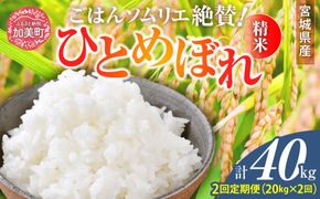 【2回定期便】 精米 令和7年産 宮城県産ひとめぼれ 計40kg (10kg×2袋)×2回 [菅原商店 宮城県 加美町 ] |sg-hb20-t2-r7