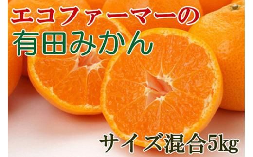 エコファーマーのこだわり有田みかん約5kg(サイズ混合)★2024年11月中旬～2025年1月中旬頃順次発送 【tec961】【tec961】