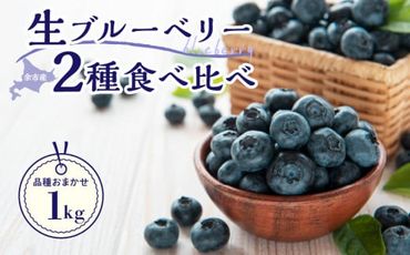 【先行予約：2025年7月25日以降発送】青果ブルベリーおまかせ２品種食べ比べセット1Kg（500g×2パック）＜アイケイファーム余市＞_Y111-0004