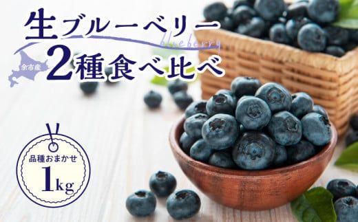 【先行予約：2025年7月25日以降発送】青果ブルベリーおまかせ２品種食べ比べセット1Kg（500g×2パック）＜アイケイファーム余市＞_Y111-0004