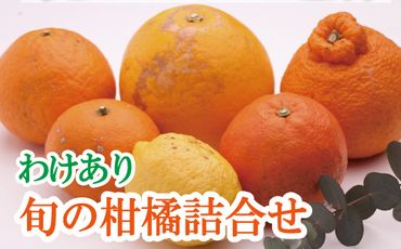 ＜1月より発送＞家庭用 柑橘詰合せ5kg+150g（傷み補償分）【訳あり・わけあり】【有田の春みかん詰め合わせ・フルーツ詰め合せ・オレンジつめあわせ】【光センサー選別】【ikd043B】