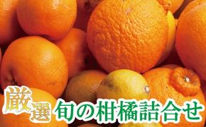 厳選 柑橘詰合せ1.5kg+45g（傷み補償分）【有田の春みかん詰め合わせ・フルーツ詰め合せ・オレンジつめあわせ】【光センサー選別】【ikd183A】